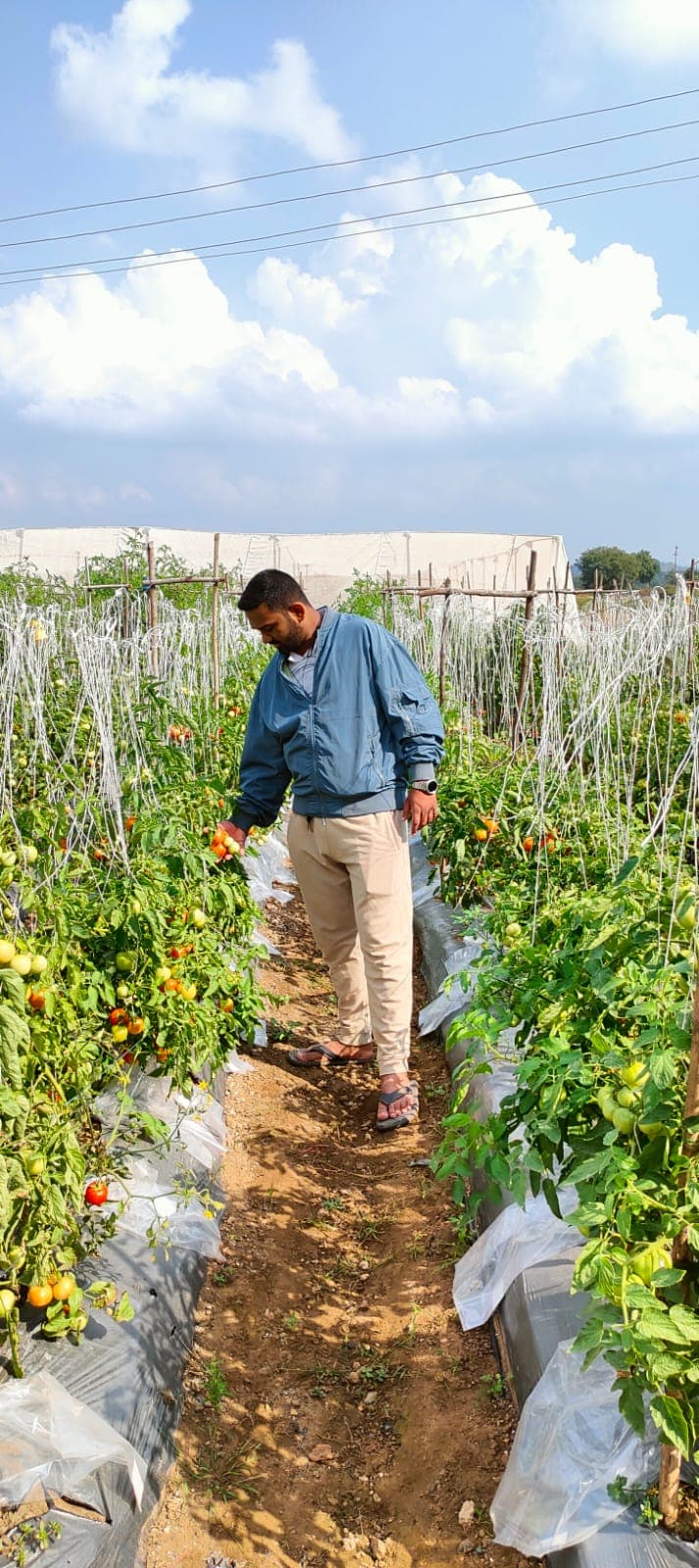 Smart Farming Technology