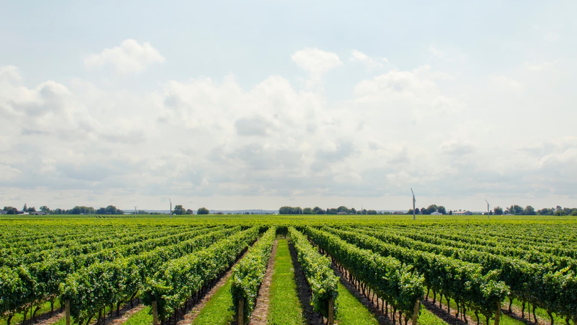 Agricultural Infrastructure